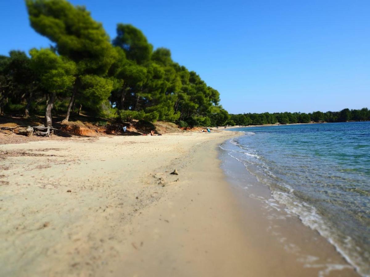 La Londe La Mer : Appartement Proche Plages & Vue Superbe Sur Les Iles D'Or ภายนอก รูปภาพ