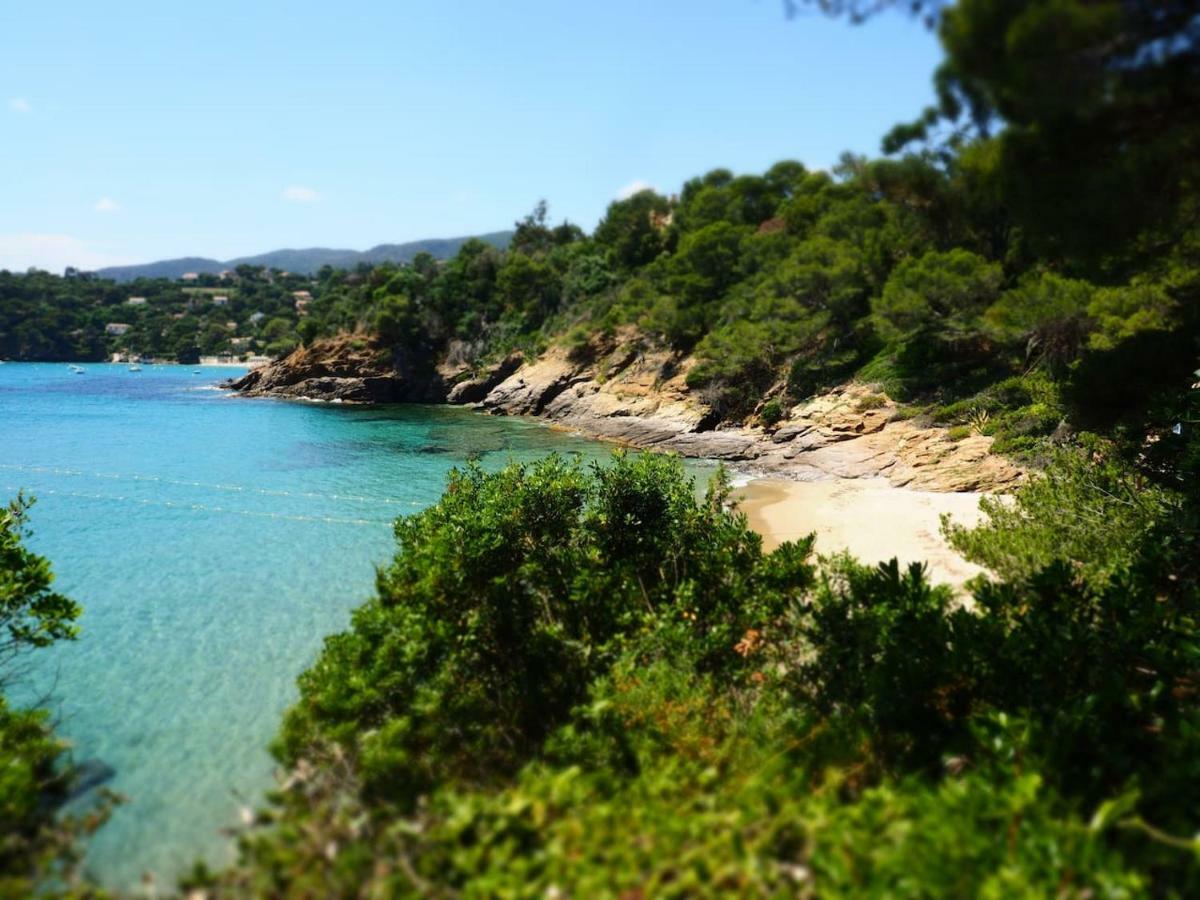 La Londe La Mer : Appartement Proche Plages & Vue Superbe Sur Les Iles D'Or ภายนอก รูปภาพ